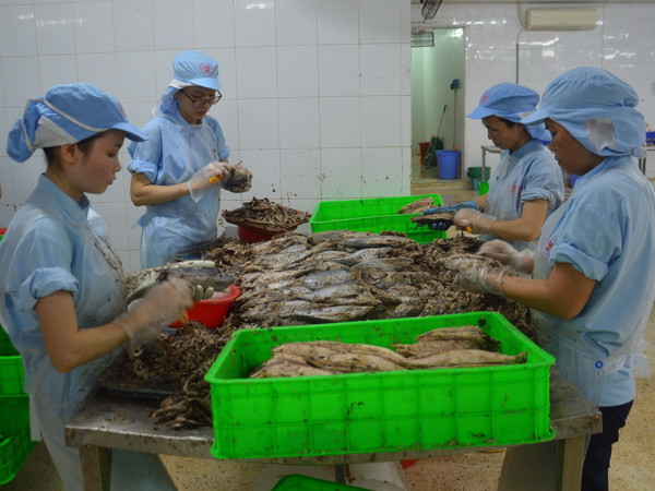 Tháng 1/2019, EC sẽ quay lại Việt Nam xem xét lại "thẻ vàng" ảnh 1