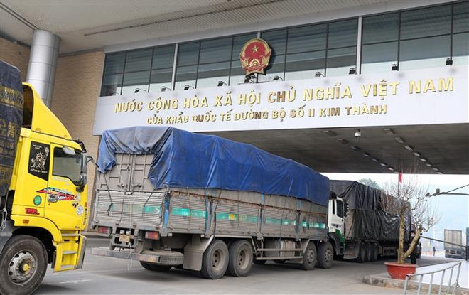 Doanh nghiệp xuất khẩu dược liệu sang Trung Quốc sẽ phải có đăng ký ảnh 1