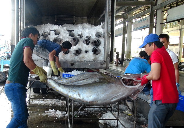 "TPP không làm thay đổi xu thế và định hướng hội nhập của Việt Nam" ảnh 3