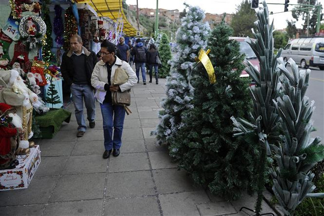 Chính phủ tạm quyền Bolivia miễn thị thực cho công dân Mỹ, Israel ảnh 1