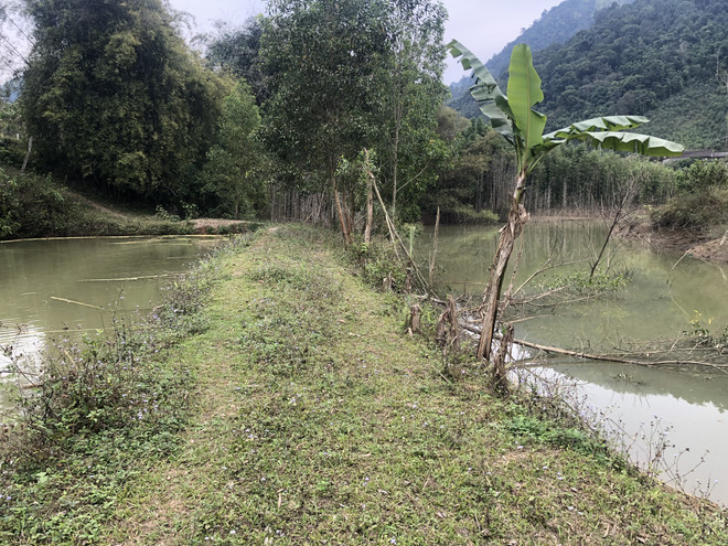 Bắc Kạn: Thủy điện Pác Cáp tích nước khiến nhiều hộ dân bị ảnh hưởng ảnh 1