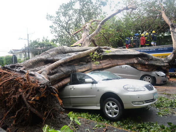[Photo] Bão Rammasun gây ảnh hưởng nặng nề ở Philippines ảnh 1