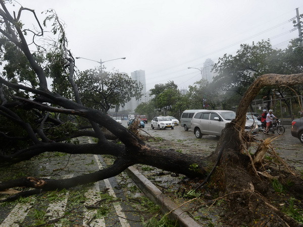 [Photo] Bão Rammasun gây ảnh hưởng nặng nề ở Philippines ảnh 2