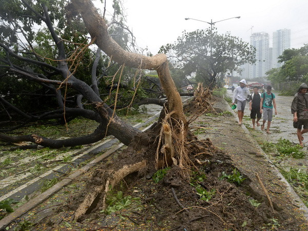 [Photo] Bão Rammasun gây ảnh hưởng nặng nề ở Philippines ảnh 3