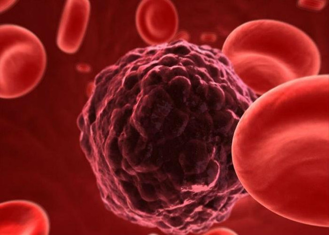 Các nhà nghiên cứu tìm ra loại thuốc mới điều trị ung thư ảnh 1