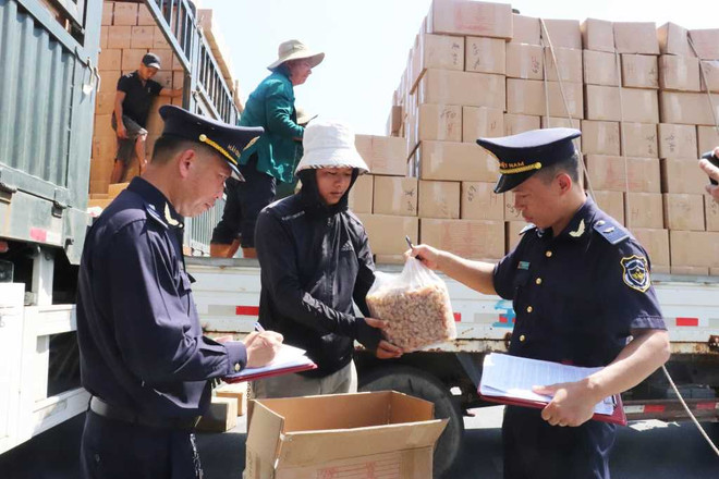 Quảng Ninh: Xuất nhập khẩu hàng hóa 8 tháng năm 2023 nhiều khởi sắc ảnh 2