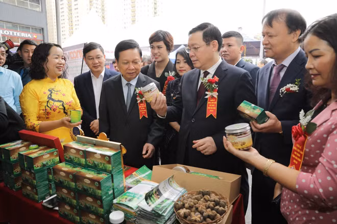 Tuần lễ giới thiệu cây ăn quả có múi, nông sản Hòa Bình tại Hà Nội ảnh 2