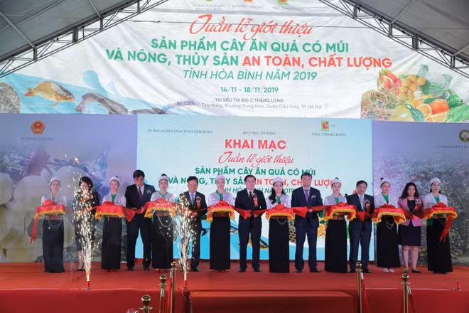 Tuần lễ giới thiệu cây ăn quả có múi, nông sản Hòa Bình tại Hà Nội ảnh 1