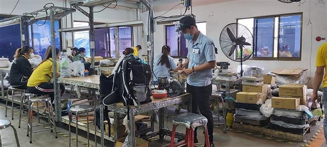 Truyền thông Ấn Độ: Việt Nam đang nổi lên mạnh mẽ trong khu vực ảnh 1