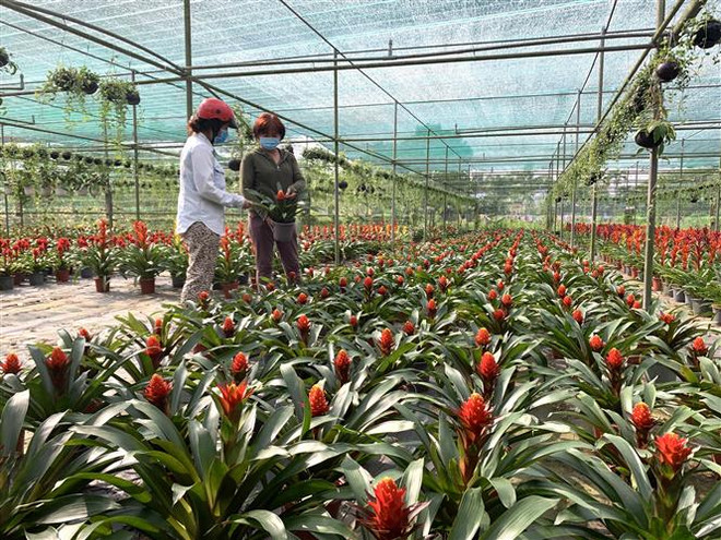 Tôn vinh và lan tỏa những tấm gương nông dân Việt Nam xuất sắc 2022 ảnh 2