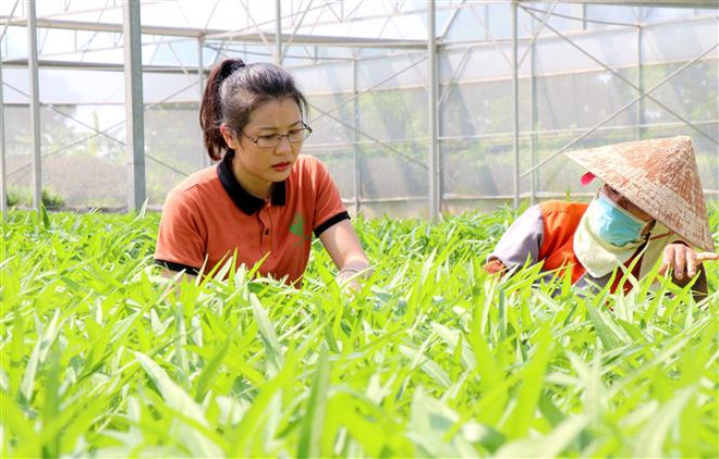 Tôn vinh và lan tỏa những tấm gương nông dân Việt Nam xuất sắc 2022 ảnh 3