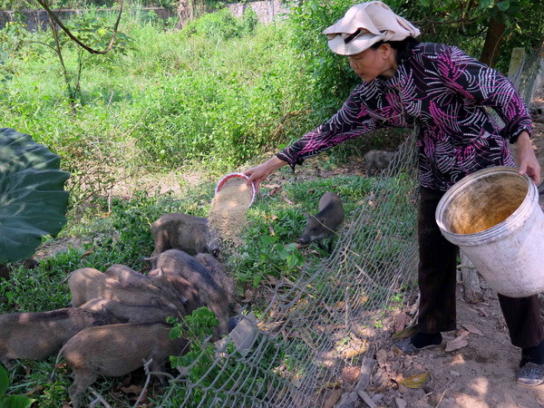 Đẩy mạnh tuyên truyền, vận động vùng đồng bào dân tộc thiểu số ảnh 1