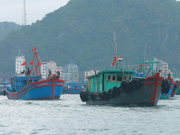 Bão Sanba suy yếu thành áp thấp nhiệt đới sau khi đi qua Philippines ảnh 1