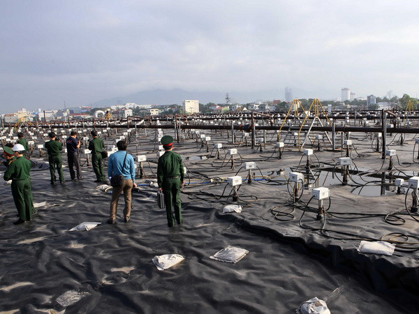 Kiểm tra công tác xử lý chất độc dioxin tại sân bay Đà Nẵng ảnh 1