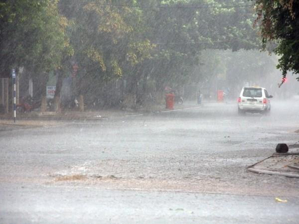 'Mưa vàng' đã xuất hiện tại Đắk Lắk sau nhiều tháng khô hạn ảnh 1