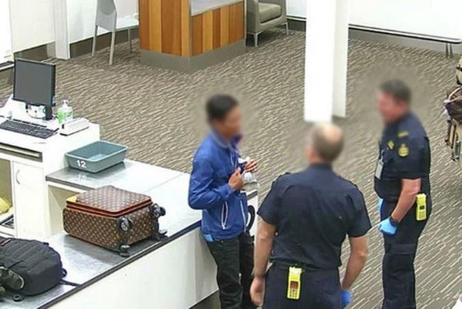 Australia bắt giữ người đàn ông Việt mang cá rồng quý hiếm nhập cảnh ảnh 1