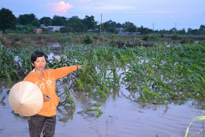 Bồi thường cho người dân bị ảnh hưởng bởi thủy điện Sêrêpốk 4A ảnh 1