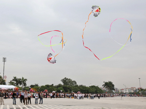 Khai mạc Liên hoan Diều quốc tế “Bay cùng Việt Nam” ảnh 1