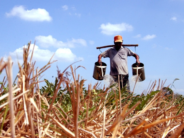 ​Cảnh báo nguy cơ thiếu nước ở Đồng bằng sông Cửu Long ảnh 1