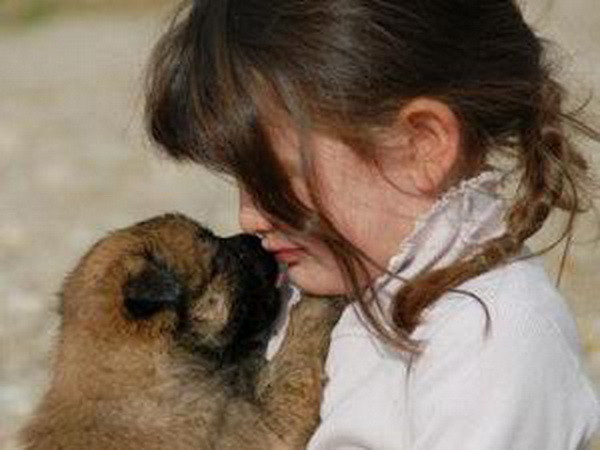 Đau lòng bé 8 tuổi bị bắn chết vì không cho bạn xem bầy chó con ảnh 1