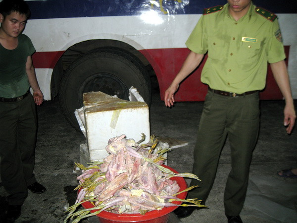 Bắt giữ vụ vận chuyển trái phép hơn 450kg vạc và cú vọ mặt trắng ảnh 2