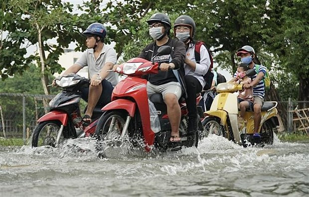 TP.HCM chủ động ứng phó triều cường đạt đỉnh trên mức báo động 3 ảnh 1