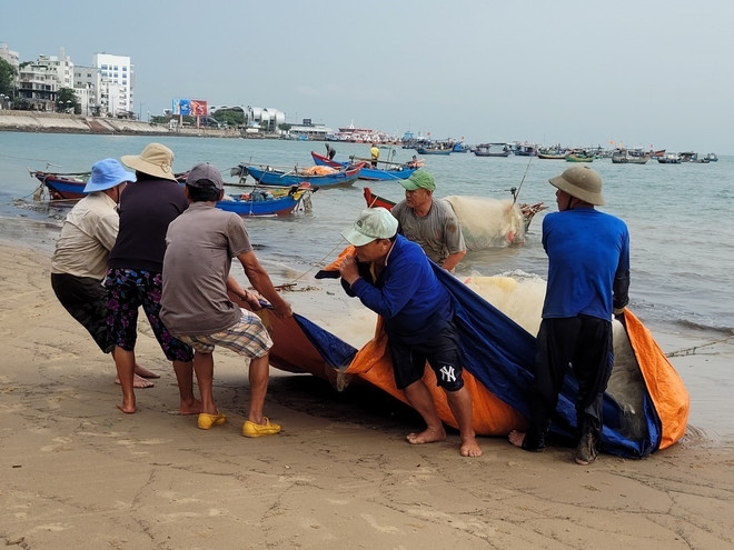 Ngư dân Vũng Tàu trúng lộc biển, thu cả triệu đồng mỗi ngày ảnh 1