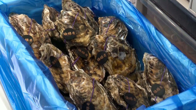 Trung Quốc bắt đầu kiểm tra phóng xạ hải sản nhập khẩu từ Nhật Bản ảnh 1