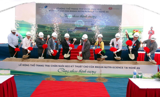 Masan xây trang trại nuôi lợn trị giá 1.000 tỷ đồng tại Nghệ An ảnh 1