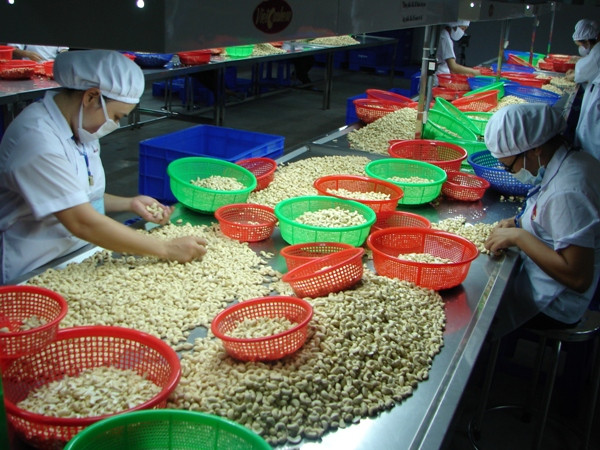 Bài toán hướng tới tự chủ kinh tế trong "một thế giới phẳng" ảnh 2