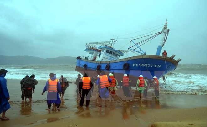 Sự kiện trong nước 30/10-5/11: Bão số 12 làm 49 người chết, mất tích ảnh 10