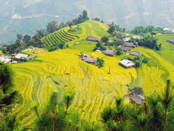 Sự kiện trong nước 30/10-5/11: Bão số 12 làm 49 người chết, mất tích ảnh 9