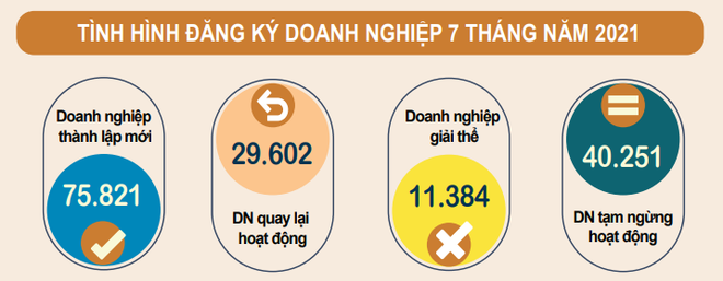 Tháng Bảy: Doanh nghiệp đăng ký mới giảm 22,8% do giãn cách xã hội ảnh 1
