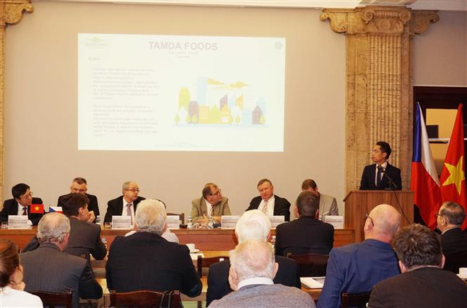 Thúc đẩy tiềm năng hợp tác kinh tế giữa Việt Nam và Cộng hòa Séc ảnh 1