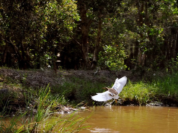 Khu bảo tồn Láng Sen trở thành khu Ramsar thứ 7 của Việt Nam ảnh 1