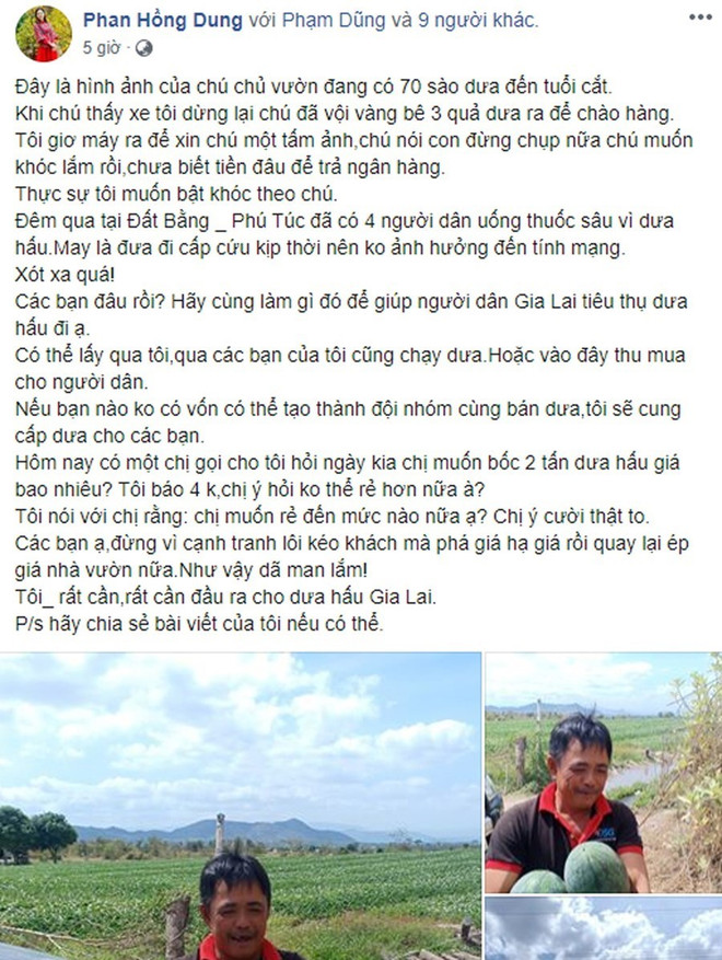 Thông tin 4 người ở Gia Lai tự tử vì dưa hấu rẻ là sai sự thật ảnh 2