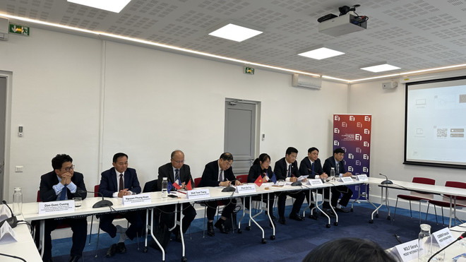 Nam Định chào đón các doanh nghiệp Pháp đến hợp tác thương mại, đầu tư ảnh 2