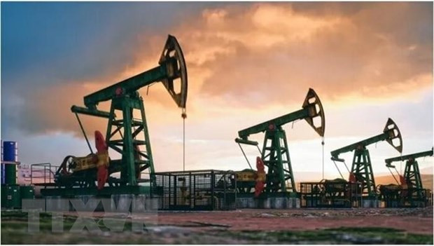 Nhập khẩu dầu thô của Mỹ từ các nước OPEC+ sụt giảm mạnh ảnh 1