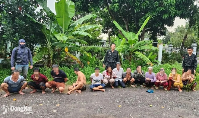 Triệt xóa tụ điểm đánh bạc giữa cánh đồng hoang ở Đồng Nai ảnh 1