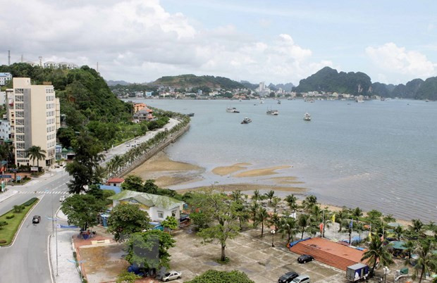Trung tâm khu du lịch Bãi Cháy, Hạ Long (Quảng Ninh). (Ảnh: Minh Quyết/TTXVN) Du lịch Quảng Ninh đang bước vào thời kỳ phát triển bền vững ảnh 2