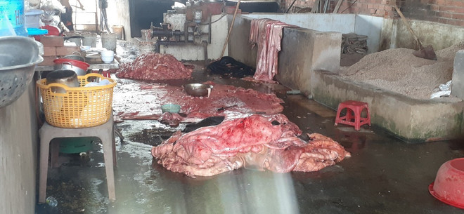 Bà Rịa-Vũng Tàu: Ngừng hoạt động cơ sở chế biến mỡ động vật gây ô nhễm ảnh 1