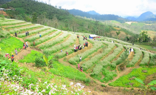 Pha Đin - món quà vô giá thiên nhiên ban tặng cho Tây Bắc ảnh 1