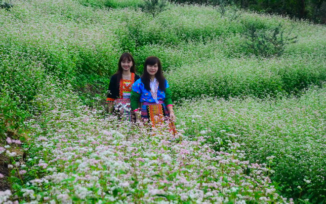 Pha Đin - món quà vô giá thiên nhiên ban tặng cho Tây Bắc ảnh 3