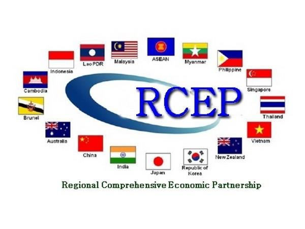 Singapore mong muốn hoàn tất hiệp định RCEP trong năm nay ảnh 1