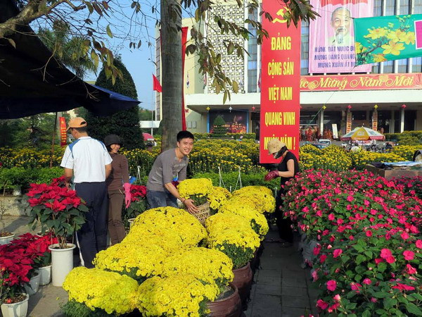 Tràn ngập những sắc màu rực rỡ ngày Xuân ở chợ hoa Cố đô Huế ảnh 1