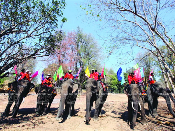 [Photo] Bảo tồn đàn voi ở Đắk Lắk - Việc làm cấp bách ảnh 8