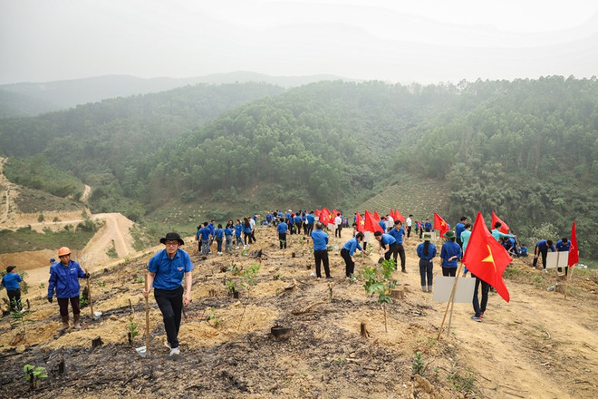 Nhận thấy vai trò quan trọng của rừng trong phát triển kinh tế cũng như bảo vệ môi trường, sức trẻ thanh niên từ các Doanh nghiệp Trung ương đã đóng góp thêm vào quá trình tăng độ che phủ rừng tại xã Lâm Sơn, Lương Sơn, Hòa Bình. (Ảnh: Hoài Nam/Vietnam+) Ban Kinh tế TW: Các địa phương phải bảo vệ toàn bộ rừng hiện có ảnh 2