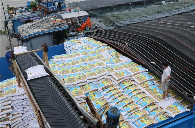 Ứng phó thiếu hụt nguồn cung phân bón do căng thẳng Nga-Ukraine ảnh 2