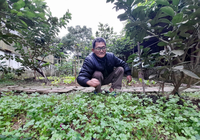 Xử lý rác thải rắn sinh hoạt tại nguồn: 'Mệnh lệnh' không thể trì hoãn ảnh 4