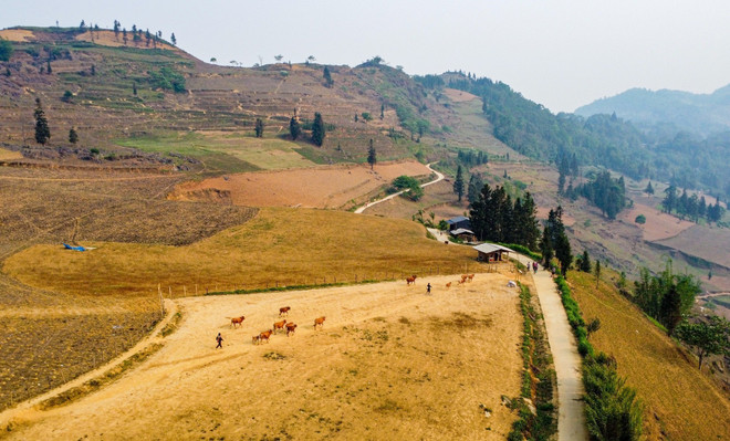 Hà Giang: Đánh thức tiềm năng du lịch ở Thảo nguyên Suôi Thầu ảnh 2
